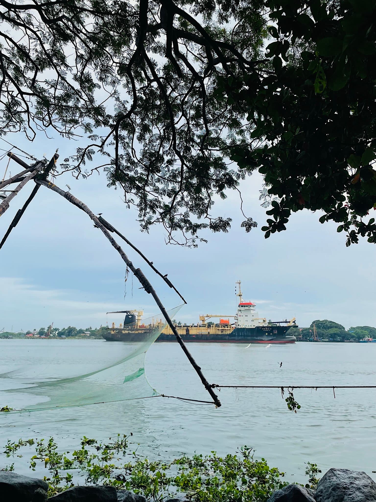 Chinese Fishing Net- Fort Kochi