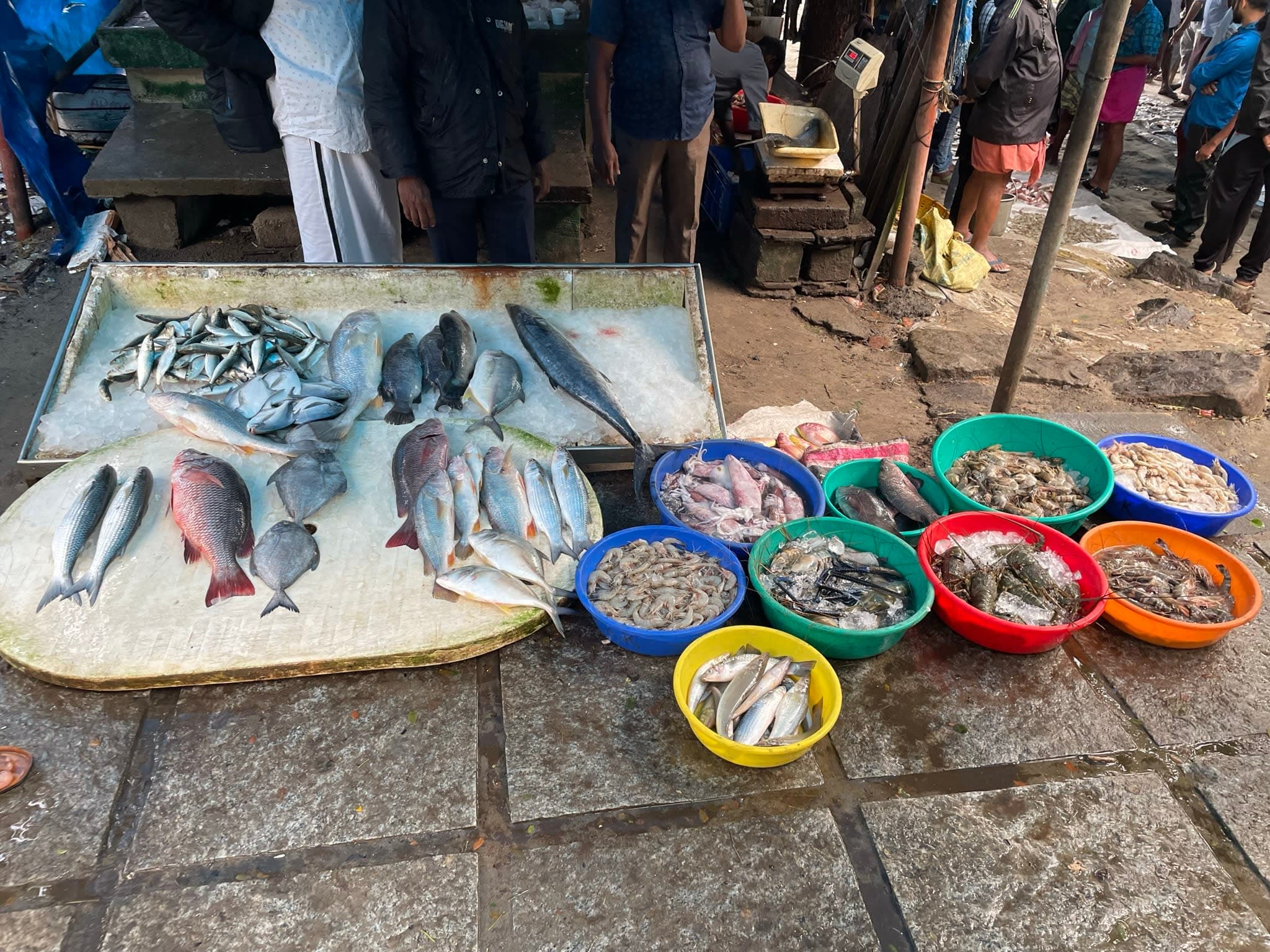 Fish Market of Fort Kochi