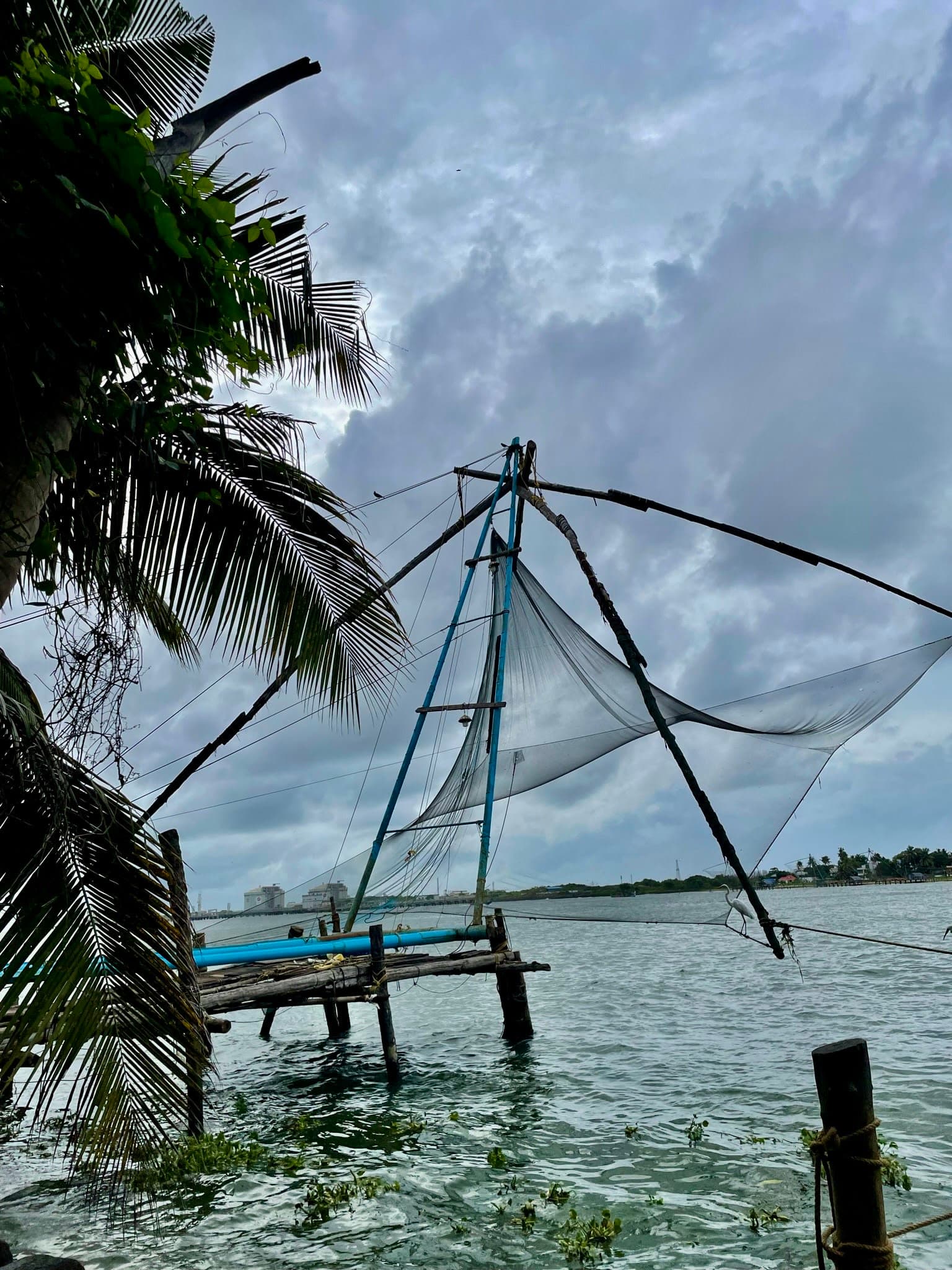 Chinese Fishing Net- Kochi