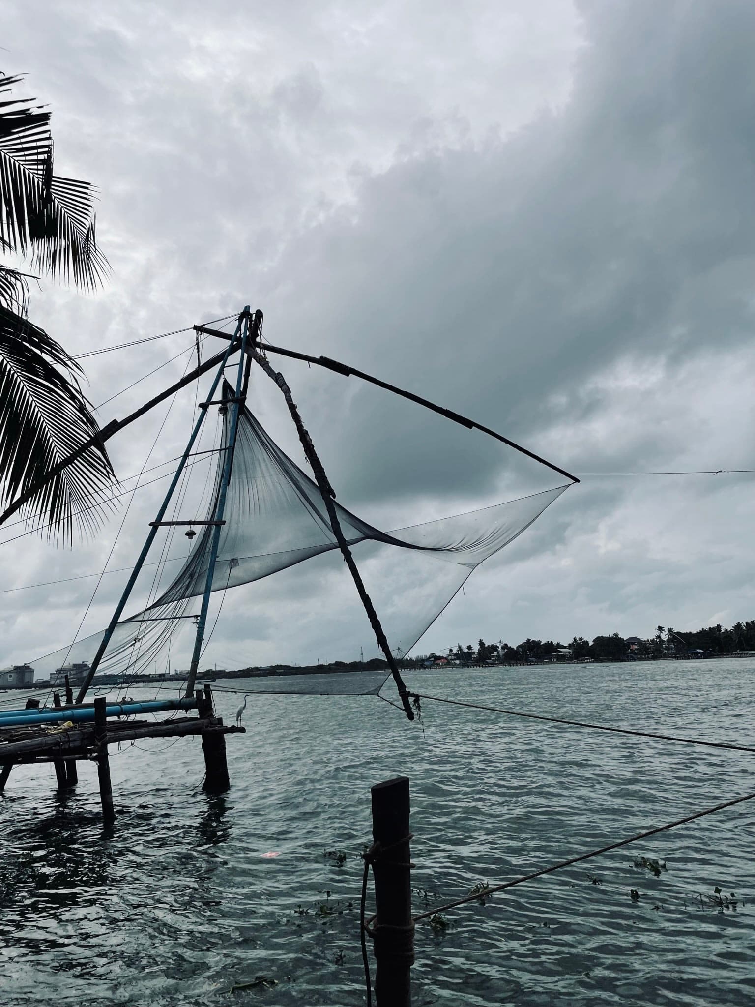 Chinese Fishing Net- Kochi
