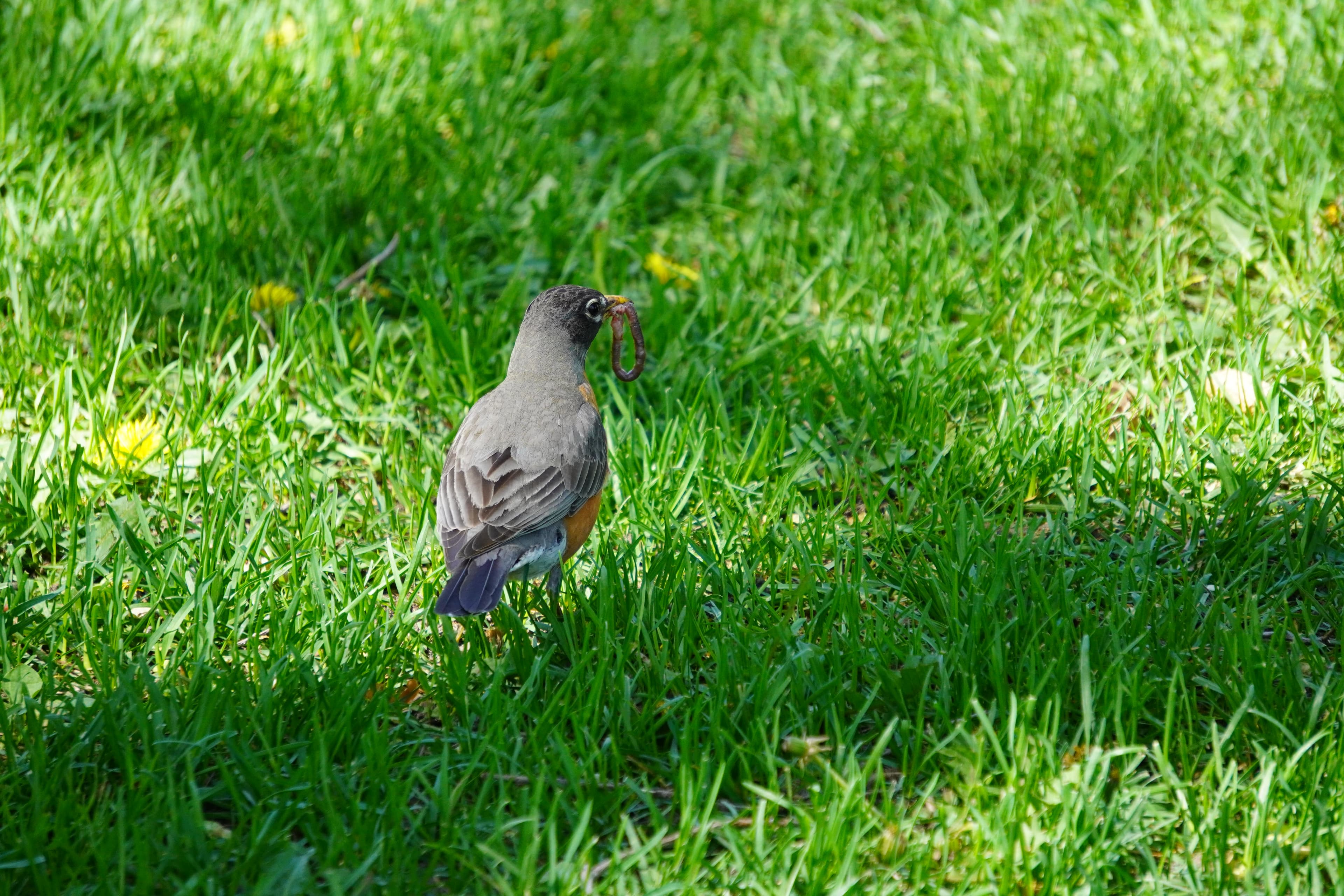 Nature Photography 