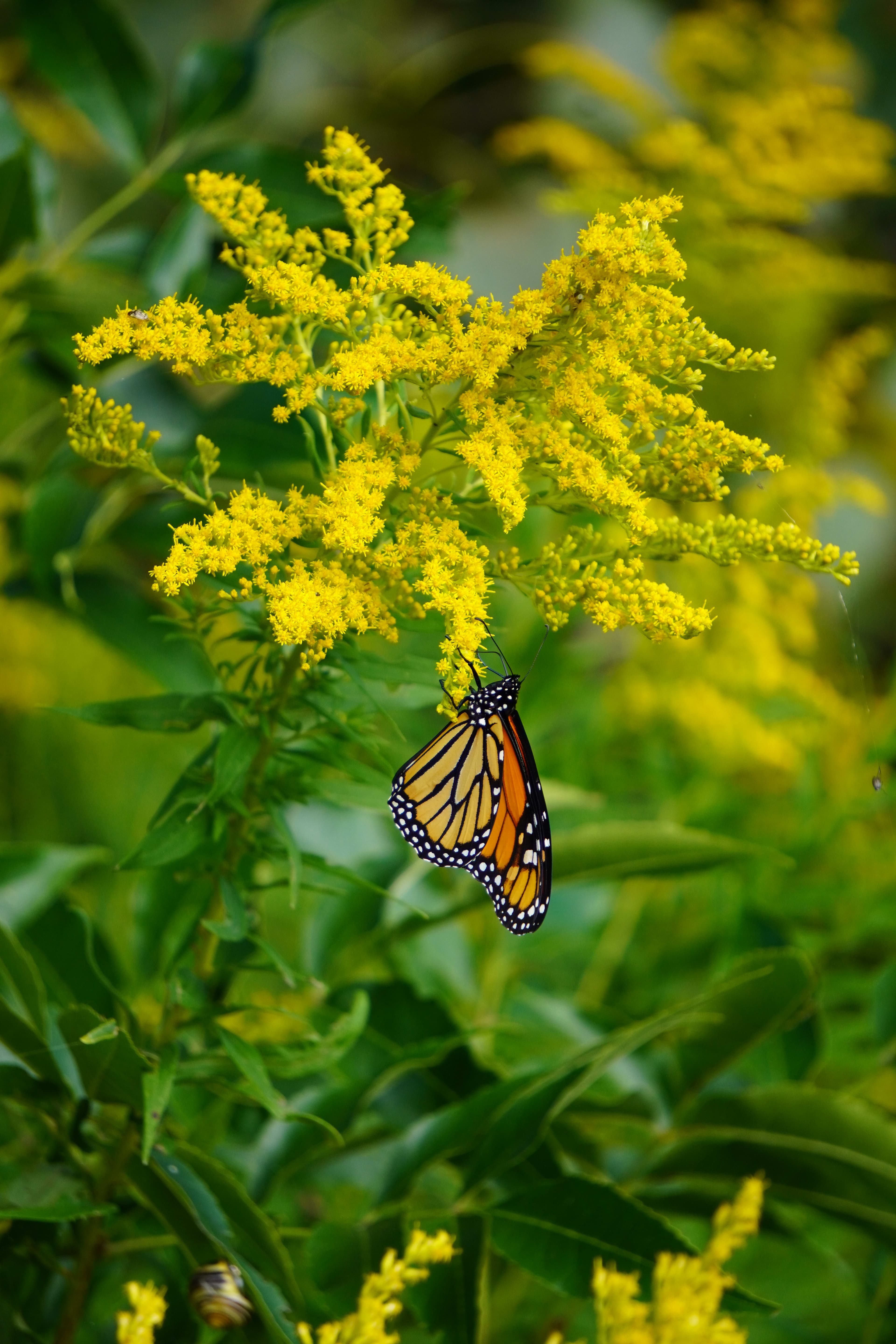 Tommy Thompson Park