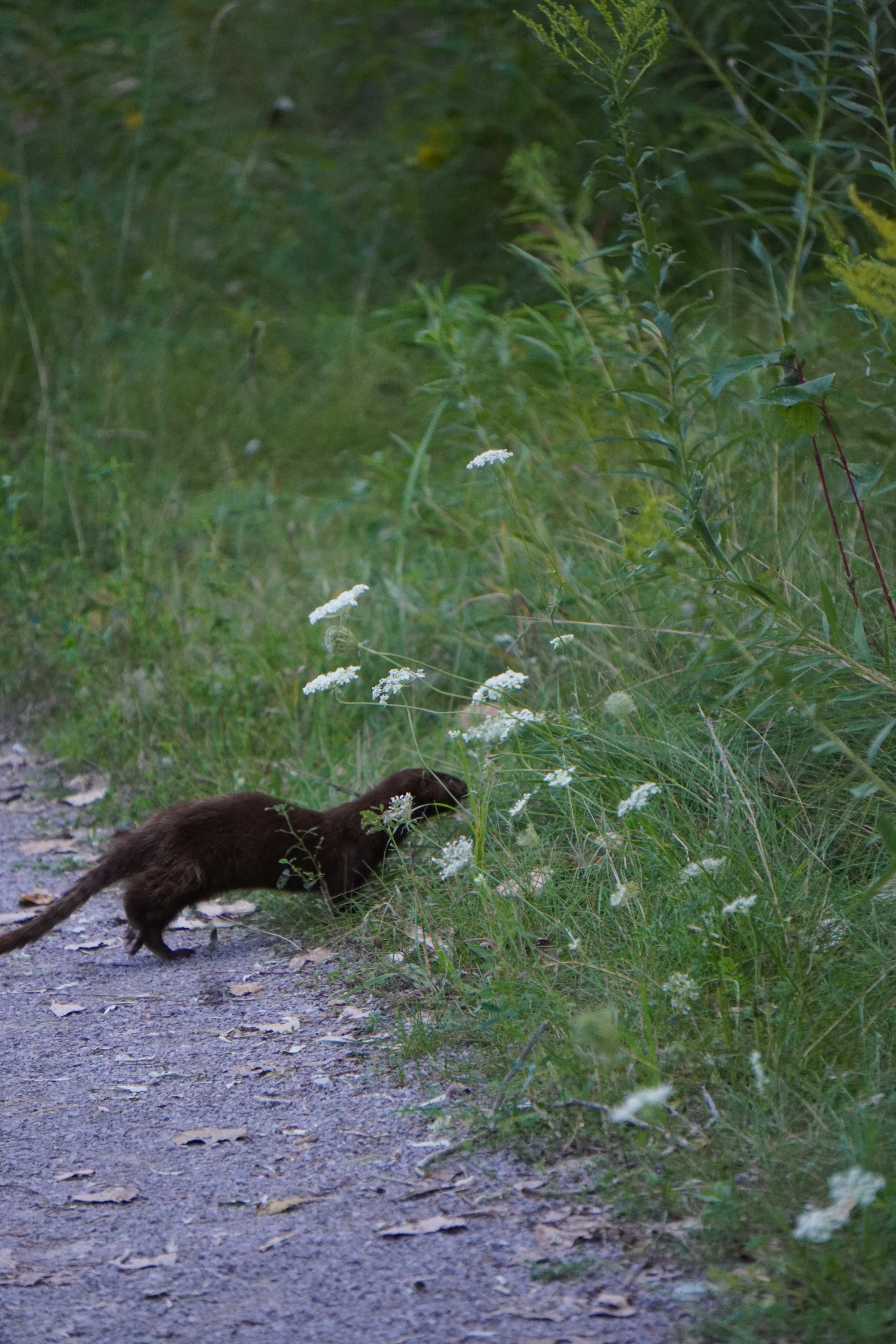 Tommy Thompson Park