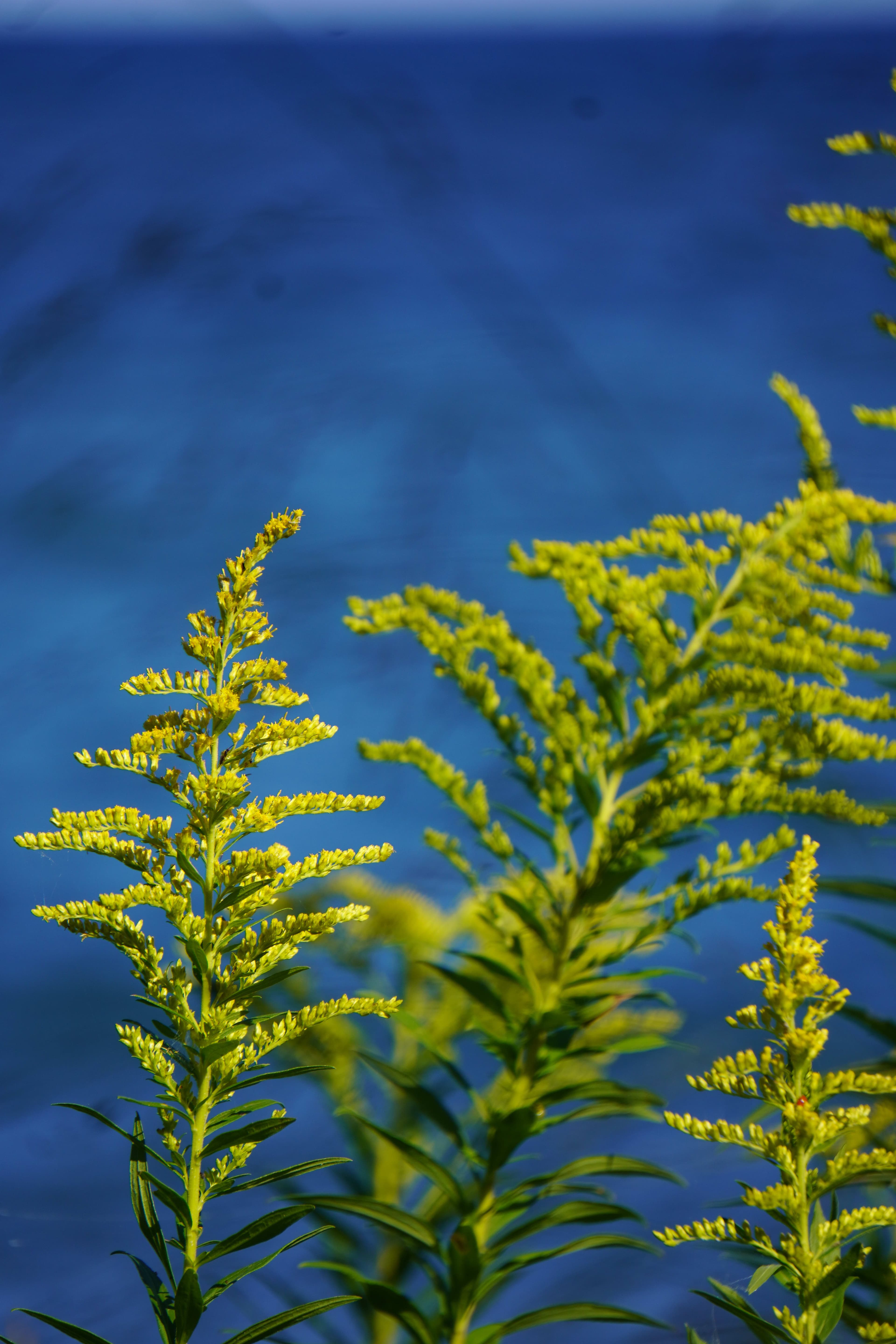 Tommy Thompson Park
