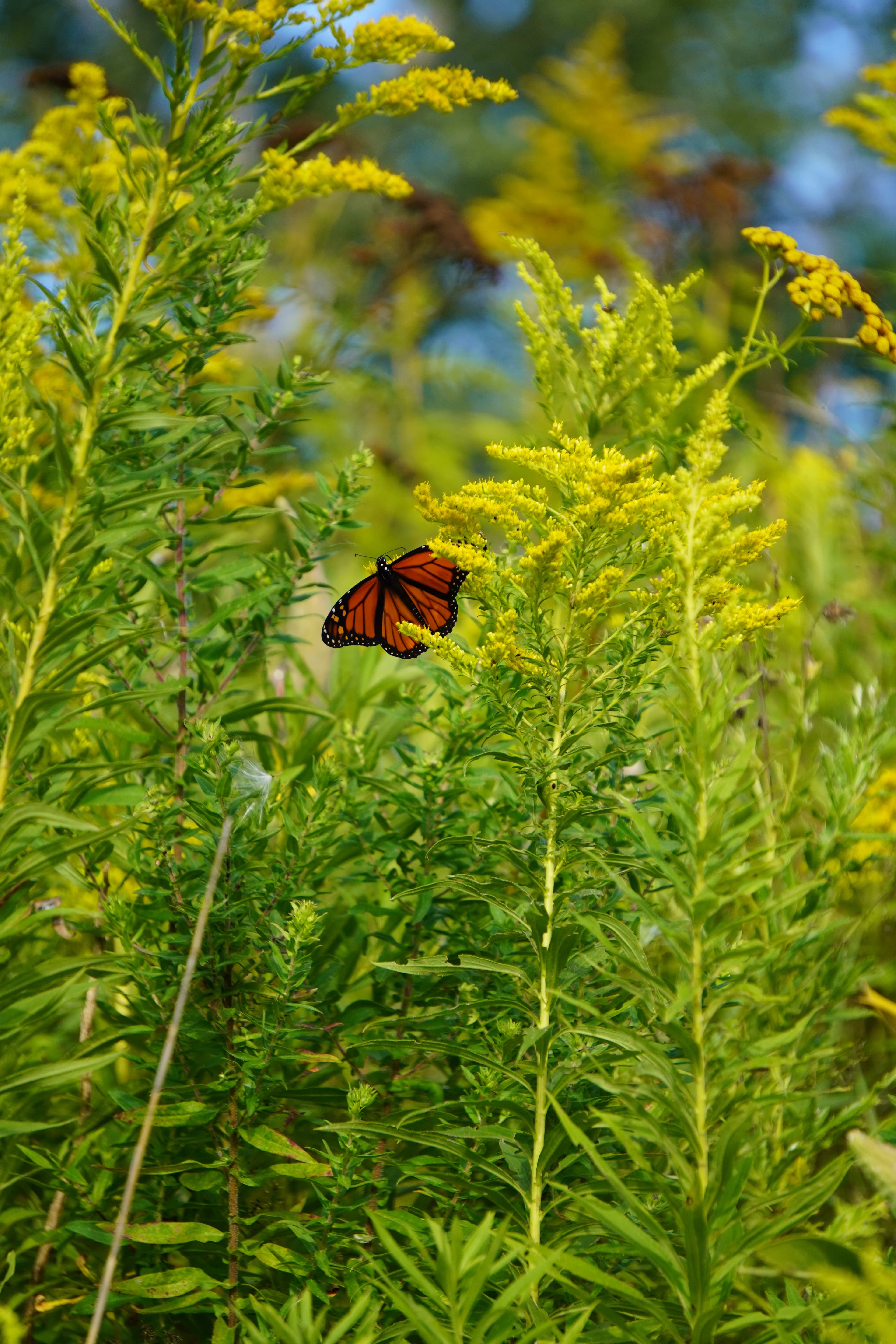 Tommy Thompson Park