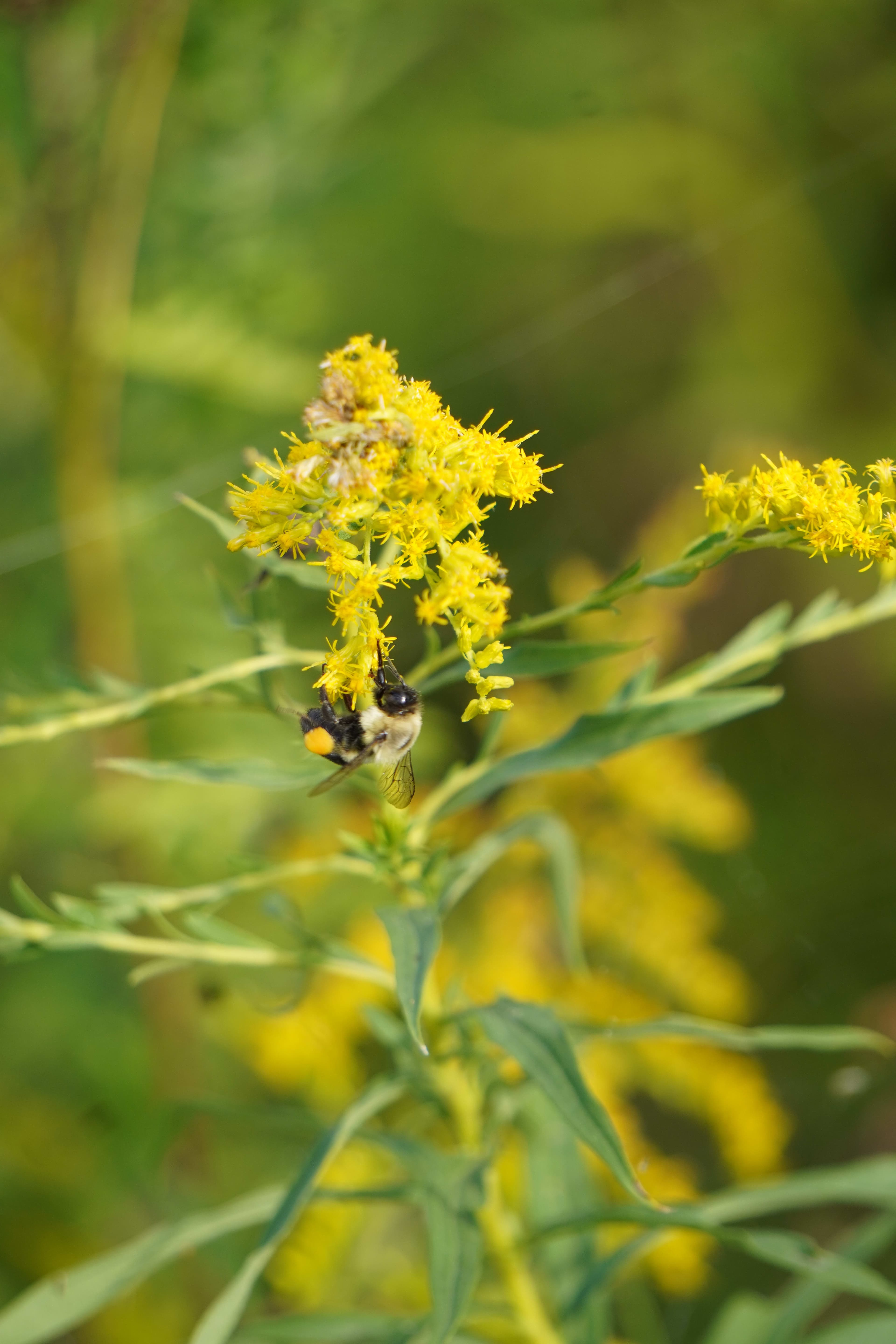 Tommy Thompson Park
