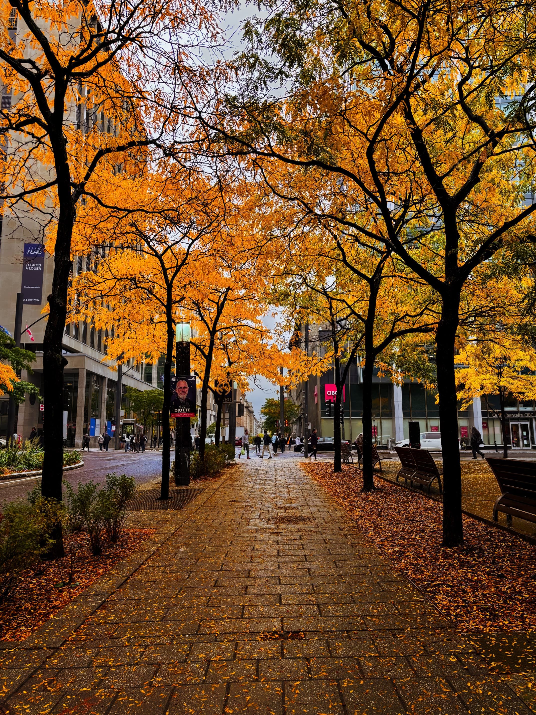 Autumn in Montreal